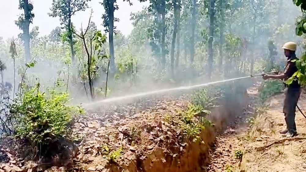 জঙ্গলের আগুন নেভাচ্ছেন এক কর্মী।