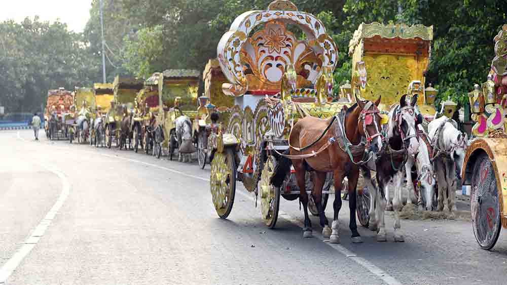  সারিবদ্ধ: তীব্র রোদে দাঁড় করিয়ে রাখা হয়েছে ঘোড়াদের। মঙ্গলবার, ভিক্টোরিয়া মেমোরিয়ালের সামনে।