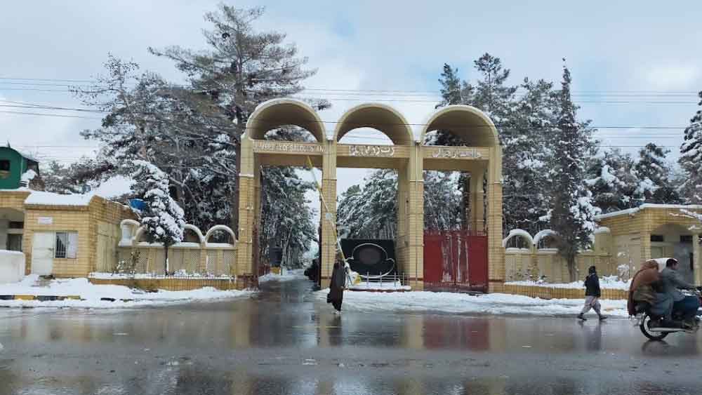 বালুচিস্তানের তুরবাতের নিয়াজার আবাদের বাসিন্দা শারি প্রাণীবিদ্যায় স্নাতকোত্তর করেছেন বালুচিস্তান বিশ্ববিদ্যালয় থেকে। এমফিল করেছেন আলামা ইকবাল মুক্ত বিশ্ববিদ্যালয় থেকে। 