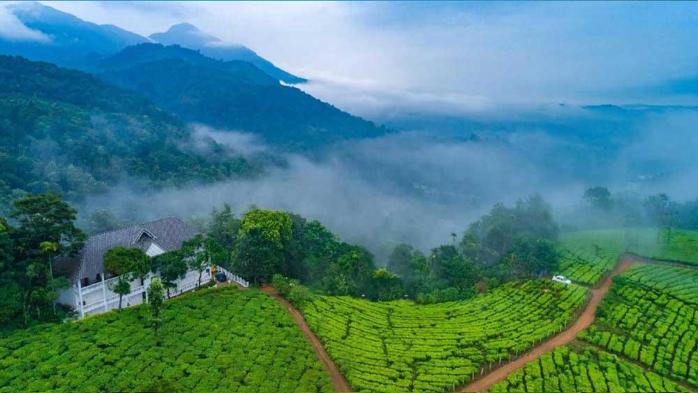 মুন্নার: কেরলের মুন্নার পশ্চিমঘাট পর্বতমালার অন্যতম জনপ্রিয় শৈলশহর। পাহাড়ের মধ্যে বিস্তৃত চা বাগানের সৌন্দর্যের জন্য ব্রিটিশ আমল থেকেই মুন্নারের খ্যাতি ছড়িয়ে পড়ে দেশ জুড়ে। মুন্নারের এরাভিকুলাম জাতীয় উদ্যান বেশ কিছু বিরল পশুপাখির আবাস। পাশাপাশি এখানে রয়েছে আত্তুকাদ, লক্কম, নাইনাক্কাডুর মতো বিখ্যাত সব জলপ্রপাত।
