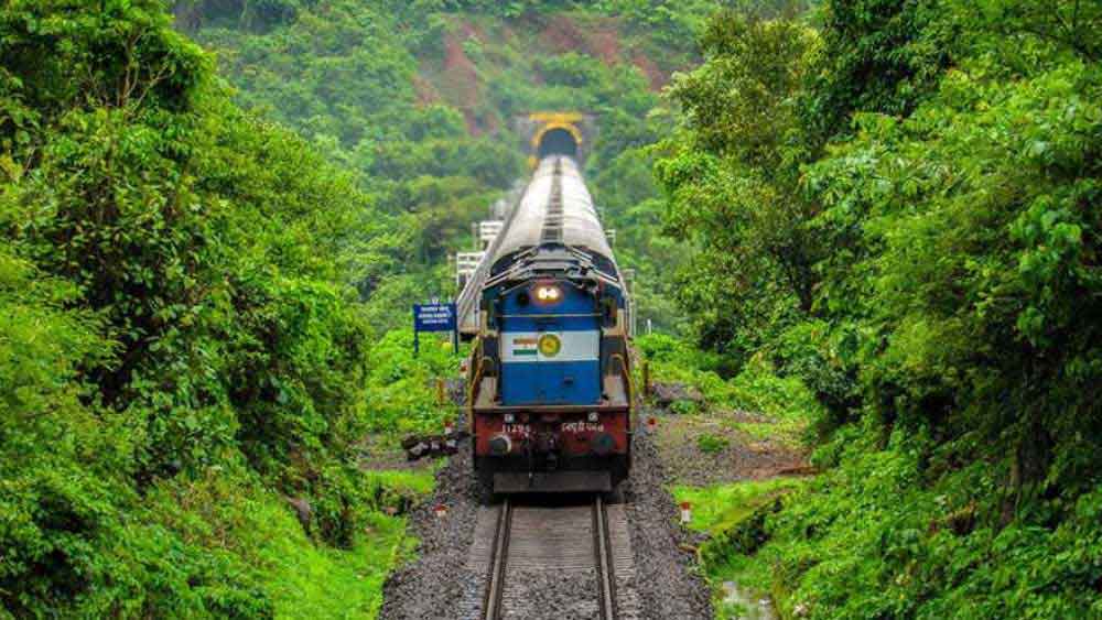 কুর্গ: কুর্গ বা কোদাগুকে ‘ভারতের স্কটল্যান্ড’ বলা হয়। পশ্চিমঘাট পর্বতের কোলে অবস্থিত কর্নাটকের এই শৈলশহরে গেলে দেখা পাওয়া যায় কফি ও বিভিন্ন রকম মশলার বাগান। রয়েছে একাধিক পাহাড়বেষ্টিত লেক ও জলপ্রপাতও। কুর্গের অরণ্য একাধিক বিরল প্রজাতির পশুপাখির আবাসস্থলও বটে।