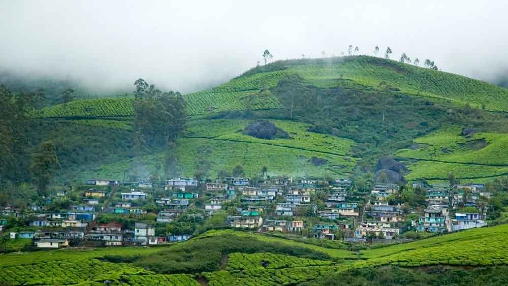 দেবীকুলম: স্বল্প পরিচিত এই স্থানটি মুন্নার থেকে বেশি দূরে নয়। সবুজে ঘেরা পাহাড়ের মাঝে সীতা দেবী হ্রদকে কেন্দ্র করে গড়ে উঠেছে এই পর্যটনস্থল। সীতা এই এই হ্রদে স্নান করেছিলেন বলে বিশ্বাস হিন্দু ধর্মাবলম্বী মানুষদের। এই হ্রদের জল বিভিন্ন ধরনের খনিজ পদার্থে ভরপুর বলেও মত অনেকের।