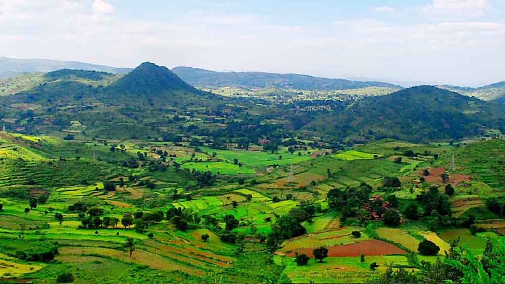 আরাকু: বিশাখাপত্তনম ভ্রমণে গেলে অনেকেই অন্ধ্রপ্রদেশের আরাকু উপত্যকায় ঘুরে আসেন। সবুজ তৃণভূমি ও ফলের বাগান আরাকু উপত্যকার মূল আকর্ষণ। দেখতে পারেন বোরা গুহা, দুমব্রিগুড়া জলপ্রপাত, পদ্মপুরম বোটানিক্যাল গার্ডেন ও আরাকুর মূলনিবাসী জাদুঘর।