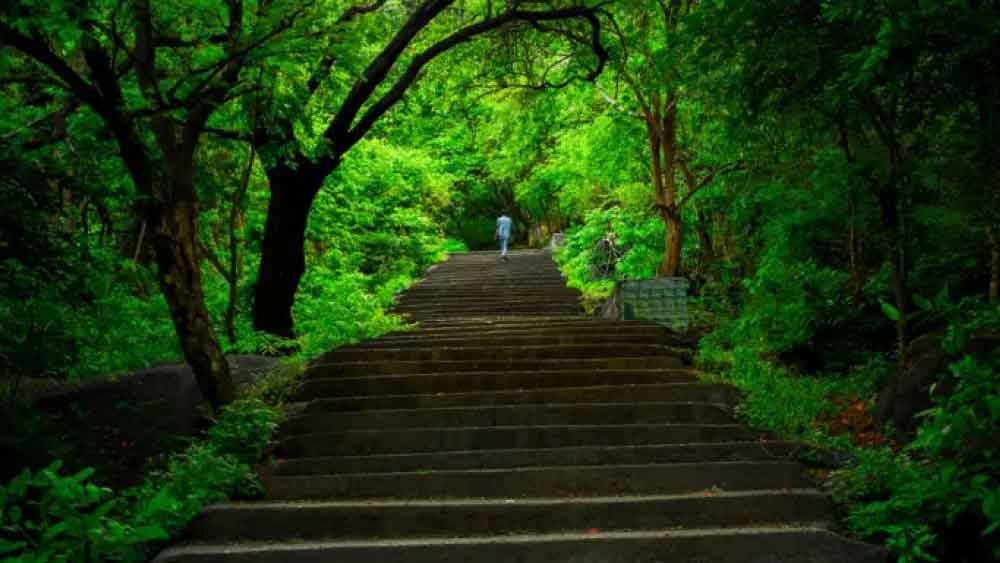 ইয়েলাগিরি: যাঁরা ট্রেক করতে পছন্দ করেন তাঁদের জন্য আদর্শ গন্তব্য হতে পারে তামিলনাড়ুর এই পর্যটনকেন্দ্রটি। স্বামীমালাই শিখর এই পর্যটনকেন্দ্রের শীর্ষবিন্দু। ট্রেকিং ছাড়াও এখানে পর্বতরোহন ও প্যারাগ্লাইডিংয়ের মতো রোমাঞ্চকর অভিজ্ঞতার স্বাদ পেতে পারেন পর্যটকরা। প্রতি গ্রীষ্মে কর্নাটক সরকারের পক্ষ থেকে এখানে গ্রীষ্মকালীন উৎসব আয়োজিত হয়।