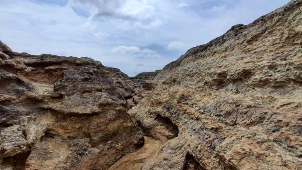 বৃষ্টি হলে পাহাড় ধোয়া জল গড়িয়ে মেশে জলাজমিতে। মেশে কৃষিজমিতেও। তাতে বিষাক্ত হচ্ছে জল, মাটি। কোলারের শ্রমিক বসতির যাঁরা কৃষিকাজ করেন, তাঁরা বলছেন এই বিষ জমিকে অনুর্বর করে তুলছে ক্রমশ। কমছে ফলন। বাড়ছে স্থানীয় বাসিন্দাদের অসুস্থতা।