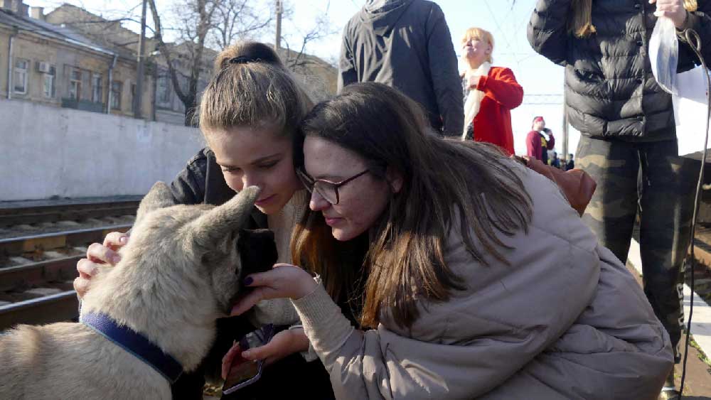 দেশ ছাড়ার সময় সঙ্গে নিয়ে এসেছেন প্রিয় পোষ্যটিকেও। প্রিয় পোষ্য নিয়ে ভিন্‌দেশে পাড়ি দিয়েছেন ইউক্রেন-ফেরত বহু জনতা। 