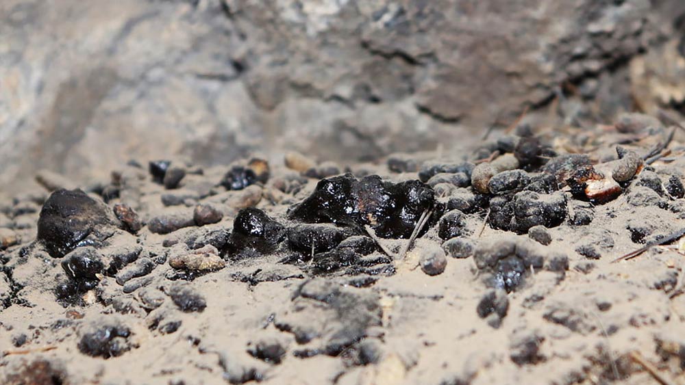 শিলাজিতে ৬০ থেকে ৮০ শতাংশ হিউমিক অ্যাসিড এবং ফুলভিক অ্যাসিড থাকে। এ ছাড়াও থাকে সেলেনিয়াম-সহ একাধিক রাসায়নিক উপাদান।