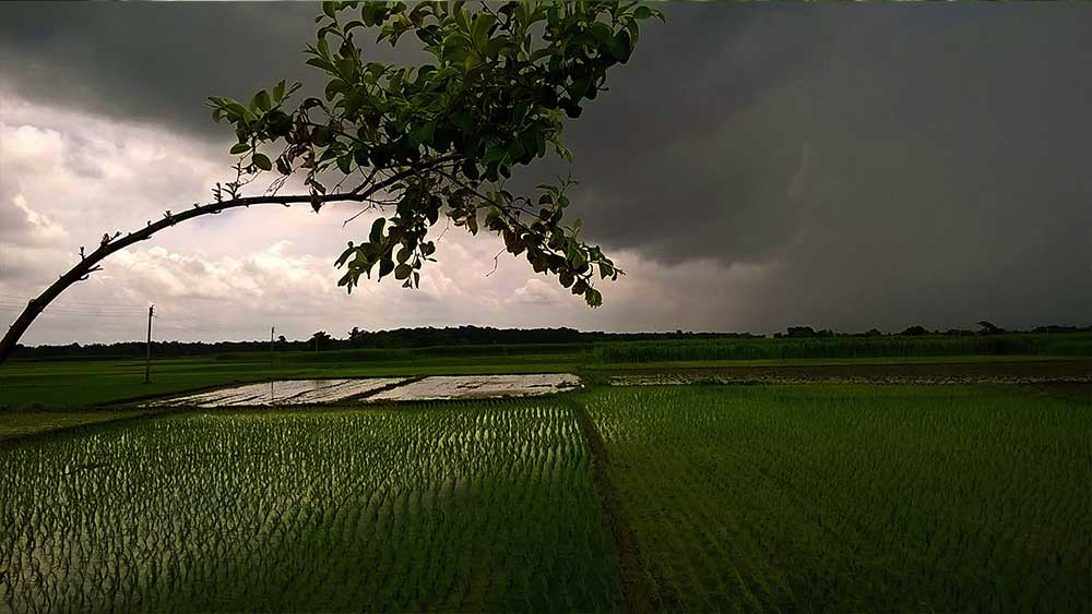 ঘূর্ণাবর্ত ঘনাচ্ছে আন্দামানে, তৈরি হতে পারে সাইক্লোন! নজর রাখছে পশ্চিমবঙ্গও