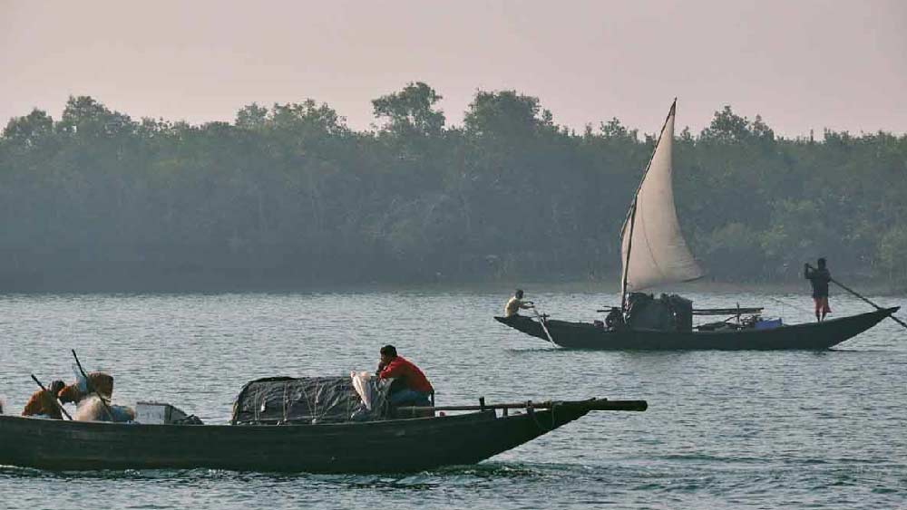 উত্তর ২৪ পরগনার বসিরহাট মহকুমা নিয়ে হচ্ছে এই জেলা। 