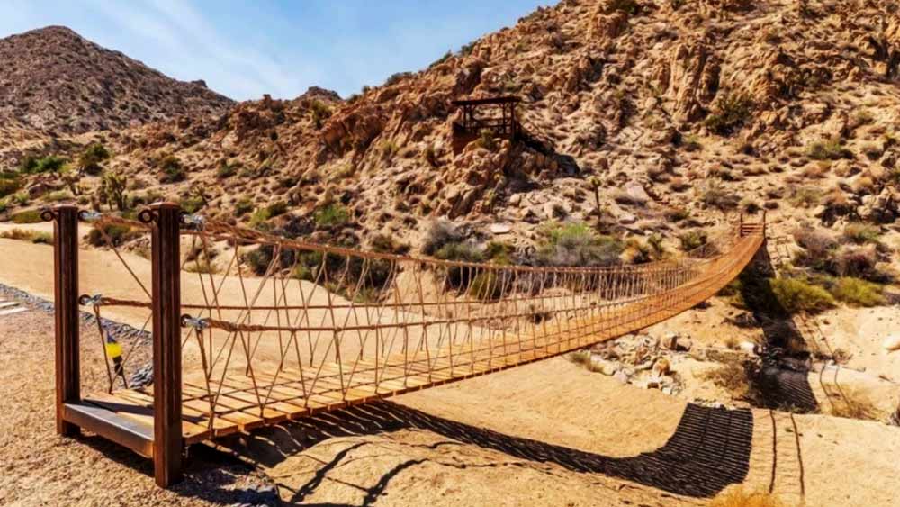 সংবাদ সংস্থা সূত্রে খবর, ১৬ মিলিয়ন ডলার (ভারতীয় মুদ্রায় প্রায় ১২৭ কোটি টাকা) দিতে চেয়েছিলেন জনি।