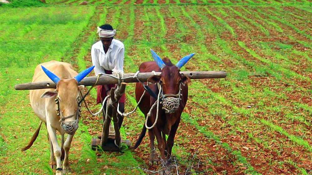 প্রধানমন্ত্রী কিষাণ সম্মান নিধিতে কেওয়াইসি দেওয়ার জন্য ৩১ জুলাই পর্যন্ত সময় দেওয়া হয়েছিল। যে সব কৃষক এটি করেননি, তাঁরা এই প্রকল্পের ১২ তম কিস্তির সুবিধা পাবেন না। 