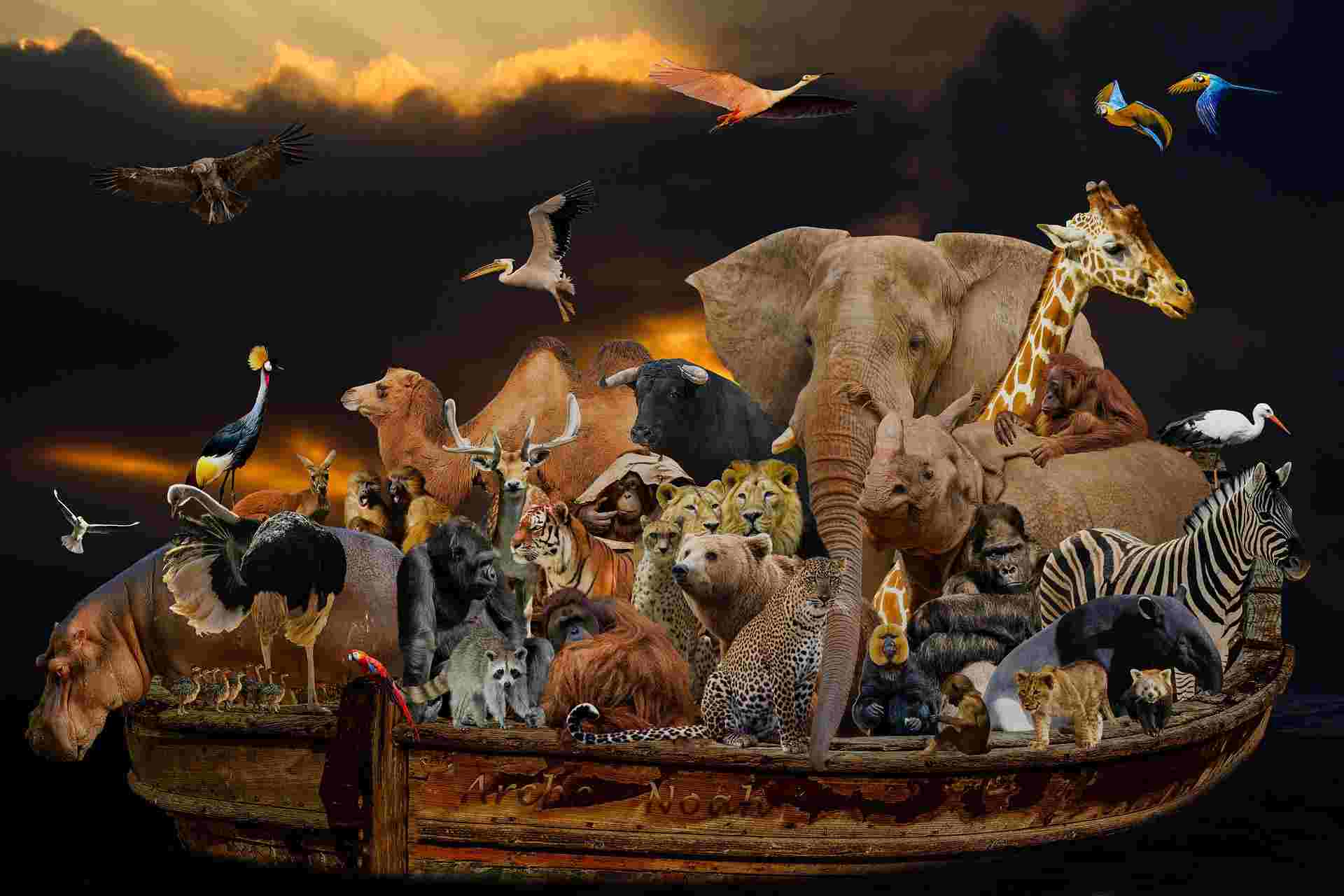নোয়ার জাহাজ নির্মাণ সম্পন্ন হলে এবং যাবতীয় প্রাণীকে সেই জাহাজে তোলা হলে শুরু হয় মহাপ্লাবন। প্রবল বর্ষণে জলস্তর বাড়তে শুরু করে। নোয়ার সুবিশাল নৌকা, যা ‘নোয়ার আর্ক’ নামে পরিচিত, তা ভাসতে শুরু করে।