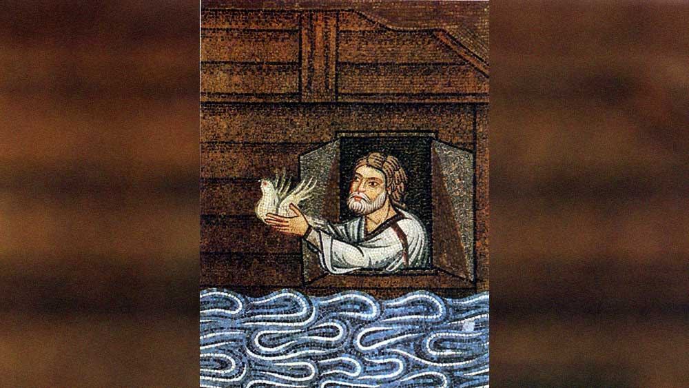 ১৫০ দিন ভাসমান অবস্থায় কাটানোর পর আর্ক আরারাত পর্বতে গিয়ে ঠেকে। সেখানেই কিছু দিন কাটে নৌকার বাসিন্দাদের। এর পর জলস্তর কমতে শুরু করে। কোথাও স্থলভাগ জেগে উঠেছে কি না জানতে নোয়া প্রথমে একটি দাঁড়কাককে উড়িয়ে দেন। কিন্তু এটি ফিরে আসে। নোয়া বুঝতে পারেন, কাকটি ডাঙার সন্ধান না পেয়েই ফিরে এসেছে। কয়েক দিন পর তিনি একটি ঘুঘুপাখিকে উড়িয়ে দেন। সেটি একটি জলপাই পাতা ঠোঁটে নিয়ে ফিরে আসে। নোয়া বুঝতে পারেন, জল কমতে শুরু করে স্থলভাগ জেগে উঠছে।