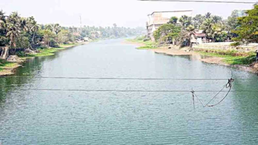 ফাইল চিত্র।
