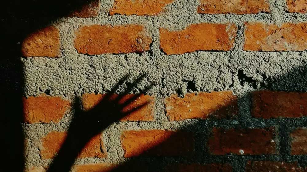 দিল্লি থেকেই জয়পুরের এক ব্যক্তিকে জমি বিক্রি করে সে। তবে, লোক ঠকানোর জন্যেই সে এই ব্যবসায় নামে। পুলিশের কাছে ধরা পড়ার পর সে জানায়, দিল্লিতে আসার পর সে নতুন ভাবে জীবন শুরু করবে বলে ভেবেছিল। তাই বিয়ে করে নতুন ব্যবসা শুরু করে।