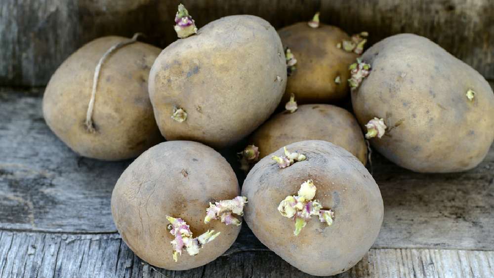 প্রতীকী ছবি