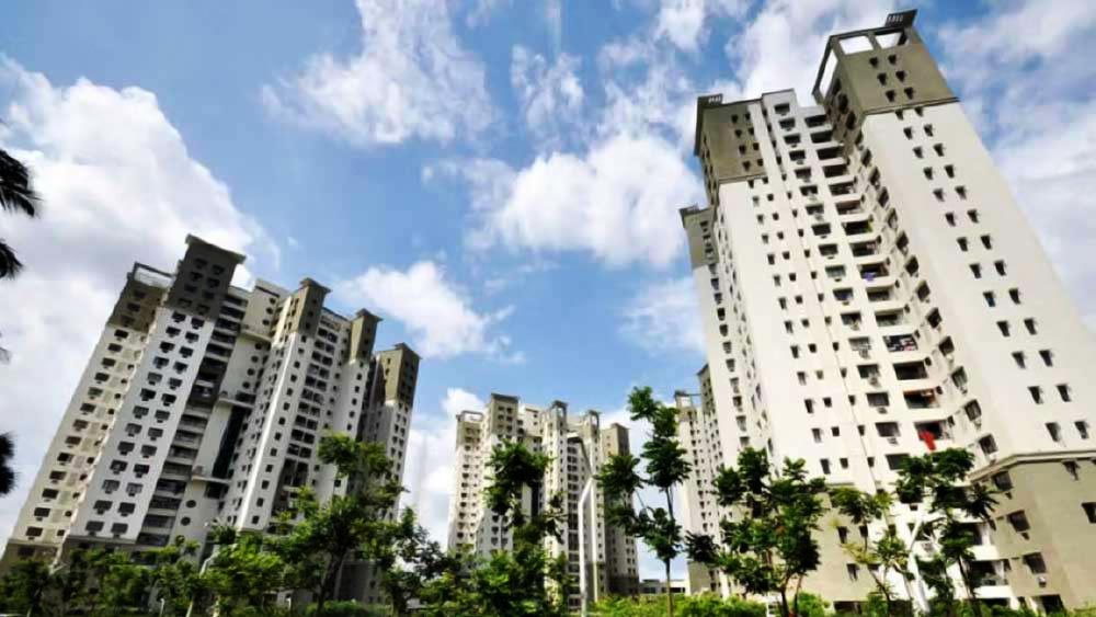 কিন্তু ওই টাওয়ারেরই ১৯ তলায় রয়েছে দু’টি ফ্ল্যাট। ১৮-ডি এবং ১৮-ই ফ্ল্যাট দু’টিকে এক করে এখন সেখানে রাখা রয়েছে পার্থের শখের সারমেয়দের। 