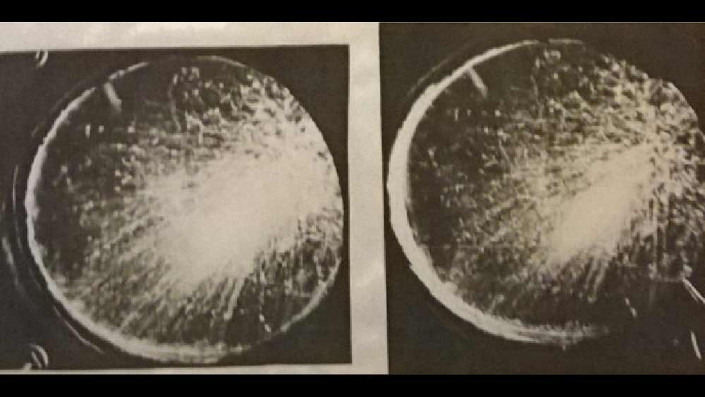 দুই ধরনের কণা ‘মিউয়ন’ আর ‘পায়ন’-এর ভরের তফাত করতে পারেননি বিভারা। কিন্তু হাফটোন প্লেট ব্যবহার করায় ভর নির্ণয় সঠিক ছিল না। সঠিক ভর পরিমাপের জন্য দরকার ছিল ফুলটোন প্লেট।