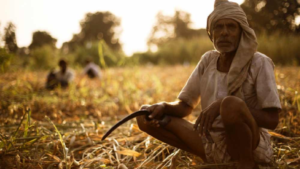 বৃষ্টি না হওয়ায় নাজেহাল অবস্থা দক্ষিণবঙ্গের কৃষকদের।