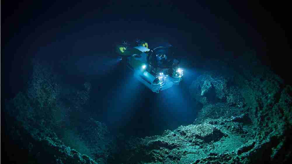 প্রতীকী ছবি।