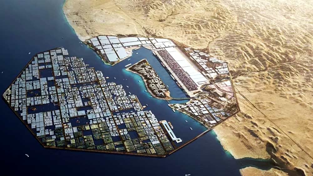 এই প্রকল্পের জন্য সৌদি আরবের তরফে এক ট্রিলিয়ন ডলার (ভারতীয় মুদ্রা অনুযায়ী, এক লক্ষ কোটি টাকা) খরচ করা হবে বলে জানিয়েছেন সলমন।