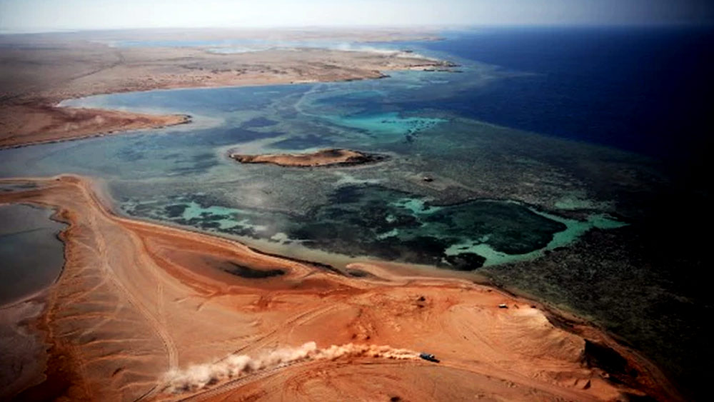 এমনকি, দিনের তিন বেলার খাবারের জন্য আলাদা ভাবে ‘সাবস্ক্রিপশন’ নিতে হবে এখানকার বাসিন্দাদের। এই প্রকল্পটি পরিবেশের কথা চিন্তা করেই বানানো হবে। কার্বন নিঃসরণের পরিমাণ প্রায় শূন্য।