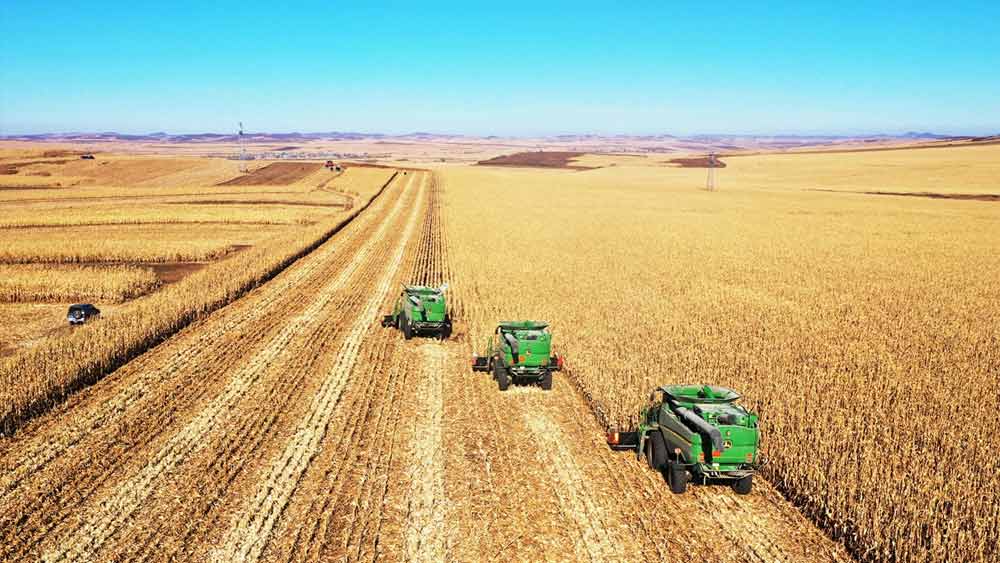 ওই জাহাজের প্রাথমিক গন্তব্য, তুরস্কের অদূরের বসফোরাস প্রণালী। তার পর তা বিশ্বের বিভিন্ন বন্দরে পাড়ি দেবে। সেখান থেকে তা পৌঁছবে ভারত-সহ বিশ্বের নানা দেশে। এতে কতটা লাভবান হতে পারে ভারত তথা বিশ্বের অন্যান্য দেশ?