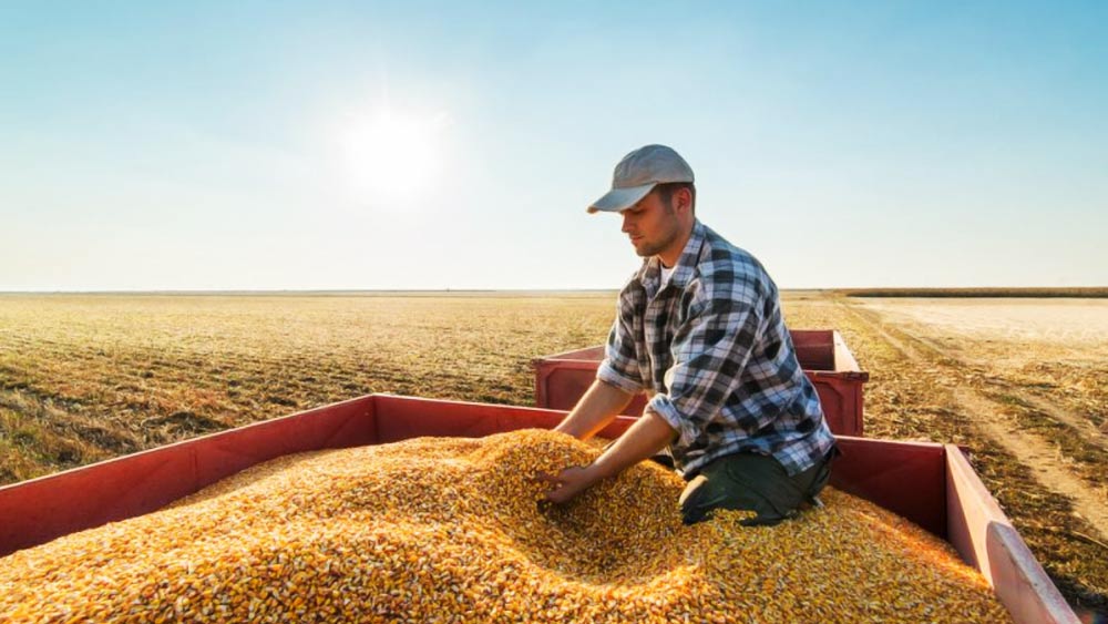 ২৪ ফেব্রুয়ারি ভোর থেকে ইউক্রেনের বিরুদ্ধে রাশিয়ার যুদ্ধাভিযান ঘোষণার পর এই প্রথম সে দেশের বন্দর থেকে কৃষ্ণসাগরের উপর দিয়ে কোনও শস্যপণ্যবোঝাই জাহাজ চলল। মঙ্গলবার তা বসফোরাস প্রণালী পৌঁছেছে। পরের গন্তব্য, উত্তর লেবাননের ত্রিপোলি। কৃষ্ণসাগরের উপর দিয়ে একটি বিশেষ করিডর ধরে তা পৌঁছবে অন্যান্য বন্দরে।