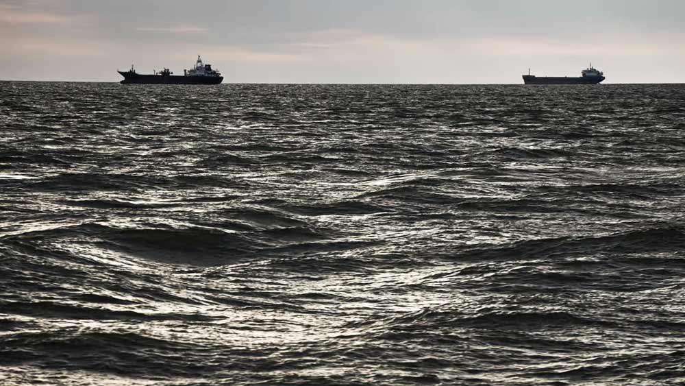 কৃষ্ণসাগর দিয়ে পাড়ি দেওয়া জাহাজে যাতে শুধুমাত্র সার এবং শস্যই পাড়ি দেয়, তার নজরদারির জন্য একটি যৌথ কমিটিও গঠন করা হয়েছে। তুরস্কের ইস্তানবুলে গঠিত ওই কমিটিতে রাষ্ট্রপুঞ্জ, ইউক্রেন, রাশিয়া এবং তুরস্কের প্রতিনিধি রয়েছেন।