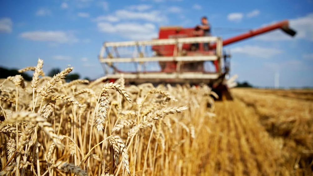 যুদ্ধের আগে গম রফতানিকারী হিসাবে রাশিয়া, ইউরোপীয় ইউনিয়ন, অস্ট্রেলিয়া এবং আমেরিকার পরেই ছিল ইউক্রেন। বার্লি বা ভুট্টার রফতানিকারক দেশগুলির তালিকায় ইউক্রেন যথাক্রমে পঞ্চম এবং চতুর্থ স্থানাধিকারী। তবে সূর্যমুখী তেল রফতানিকারী হিসাবে শীর্ষে রয়েছে ইউক্রেন।