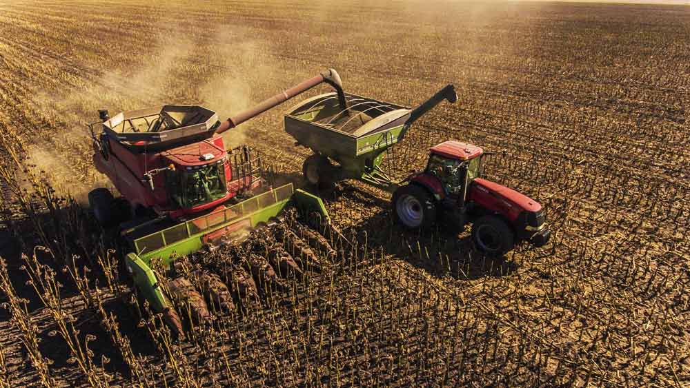 যুদ্ধের আগে এ দেশে প্রতি মাসে দু’হাজার টনেরও বেশি সূর্যমুখী তেল আমদানি করা হত। যার ৭০-৮০ শতাংশই আসত ইউক্রেন থেকে। তবে ইউক্রেনে যুদ্ধ শুরু হওয়া পর থেকে সে ব্যবস্থা ভেঙে পড়েছে। এর জেরে মুম্বইয়ে প্রতি টন সূর্যমুখী তেলের দাম (বিমা এবং পণ্য পরিবহণ কর মিলিয়ে) ১৭৪,৬০৪ টন প্রতি টাকা পার করেছে। অথচ, মার্চের মাঝামাঝি তা ছিল টন প্রতি ১১৫০৭৯.৯৮ থেকে ১১৯০৪৮.২৫ টাকা।