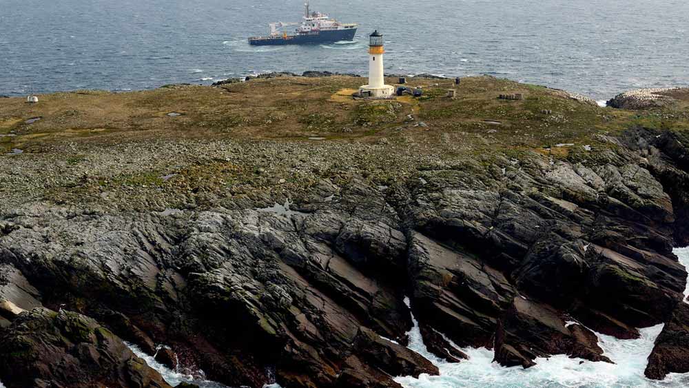 এ ছাড়াও পরিযায়ী পাখিদের জন্য এই দ্বীপটি সোনার খনির মতো। চারপাশের পরিবেশ এত মনোরম যে প্রায় ১০০ প্রজাতিরও বেশি পরিযায়ী পাখি বছরের বিশেষ বিশেষ সময়ে এই দ্বীপে আসে।