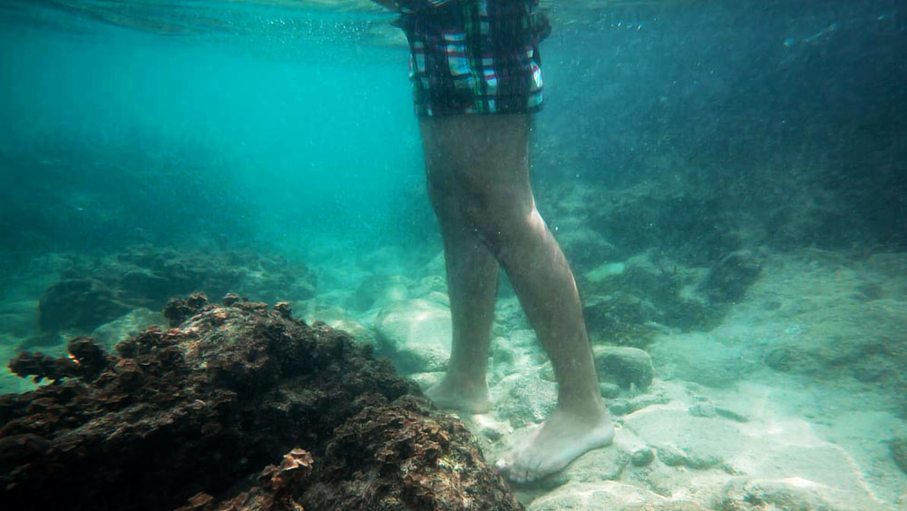 কোথা থেকে এল অস্ত্রশস্ত্রের ভান্ডার? তদন্তে নেমেছেন মেট্রোপলিটন পুলিশের আধিকারিকেরা। এই ঘটনায় আতঙ্কিত স্থানীয় বাসিন্দারা। অনেকেই নেটমাধ্যমে বার্তা দিয়েছেন, যাতে ওই পার্কের জলাশয়ে বাচ্চাদের নামতে দেওয়ার সময় সতর্ক থাকেন।