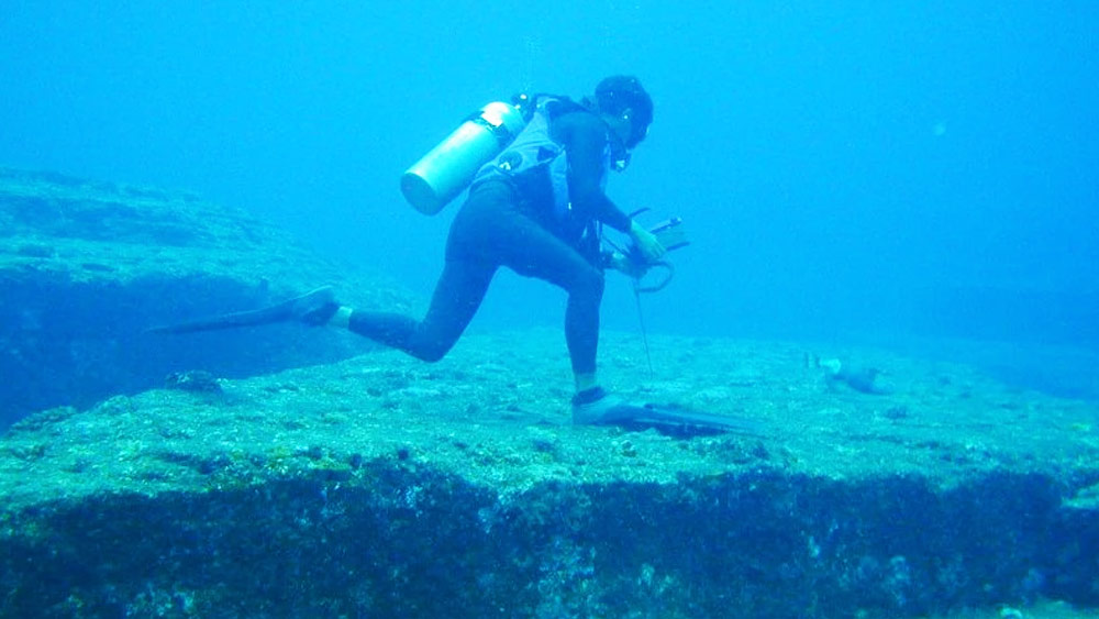 ব্রিটিশ জেনারেল অলিভার ক্রমওয়েল পোর্ট রয়্যাল এলাকা দখল করতে লোক পাঠানোর পর লুঠপাটও চলে। ১৬০০ সাল নাগাদ জামাইকার এই এলাকা পুরোপুরি ইংরেজদের দখলে চলে আসে।