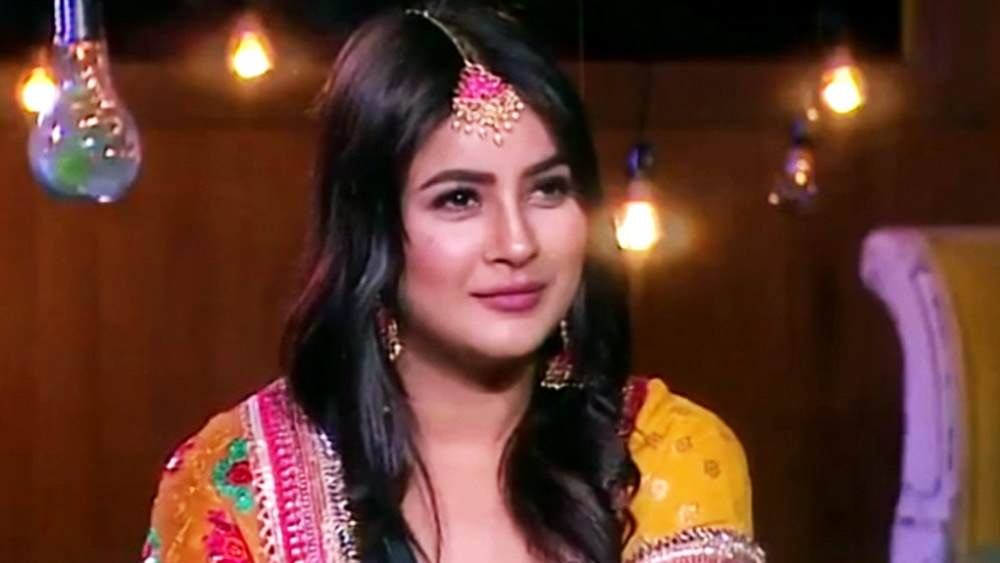 ‘বিগ বস’ রিয়্যালিটি শোয়ের ১৩তম সংস্করণে প্রতিযোগী হিসাবে অংশগ্রহণ করার পর প্রচারে আসতে থাকেন শেহনাজ গিল। ‘বিগ বস’-এর ঘরে প্রাণবন্ত শেহনাজ কখনও হেসে গড়িয়ে পড়তেন আবার কখনও মান-অভিমানের পালায় চোখ থেকে অনবরত জল গড়িয়ে পড়ত।