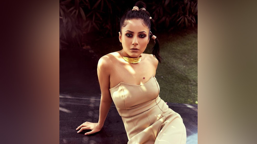 কিন্তু তার পর তিনি যে ভাবে নিজের ভবিষ্যৎ গড়তে শুরু করেছেন তা সত্যিই প্রশংসাযোগ্য। এখন তিনি বলিউডের বড়পর্দার সামনে।