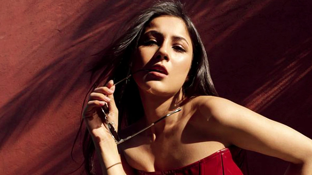 শিখ পরিবারে জন্ম শেহনাজের। কমার্স নিয়ে স্নাতকস্তরের পড়াশোনা শেষ করার পর মডেলিং জগতে তাঁর কেরিয়ার শুরু করেন।