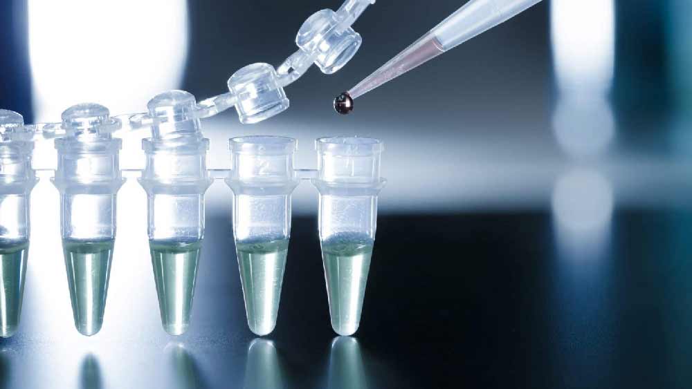  নিজেই অভিযুক্তদের খুঁজে বার করেন ওই মহিলা। তাঁদের ফোন করে ওই মহিলা বলেন, ‘‘এখন তোমাদের মৃত্যুর জন্য অপেক্ষা করার সময় এসে গিয়েছে।’’ ছেলের ডিএনএ পরীক্ষা করানো হয়। অভিযুক্তদেরও ডিএনএ পরীক্ষা করানো হয়। দু’জনের মধ্যে এক জনের ডিএনএ পরীক্ষার ফল মিলে যায়। 