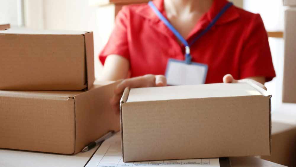 বস্তুত, 'পিন কোডের জনক' হিসাবে পরিচিত শ্রীরাম সংস্কৃত ভাষায়ও  বেশ চমকপ্রদ কাজ করেছেন। তাঁর লেখা কবিতা এবং সংস্কৃত নাটকের বইয়ের সংখ্যা ১০৫।