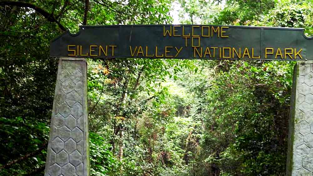 সাইলেন্ট ভ্যালি ন্যাশনাল পার্ক নামে পরিচিত ওই বনাঞ্চলে আজ রয়েছে বিশাল আকারের ম্যাককাস বাঁদর-সহ রয়েছে বহু বিপন্ন অর্কিড। সঙ্গে প্রায় হাজার প্রজাতির ফুলের গাছগাছড়া। এই সাফল্যের পিছনেও জানকীর হাত রয়েছে বলেও মনে করেন অনেকে।