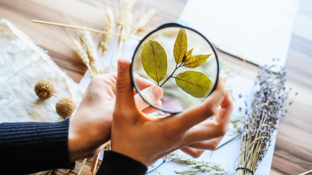 উচ্চশিক্ষা লাভের জন্য জেদ বজায় রেখেছিলেন জানকী। স্নাতক হওয়ার পর প্রেসিডেন্সি কলেজ থেকে উদ্ভিদবিজ্ঞানে সাম্মানিক ডিগ্রি লাভ করেন। সেটি ছিল ১৯১৩ সাল।