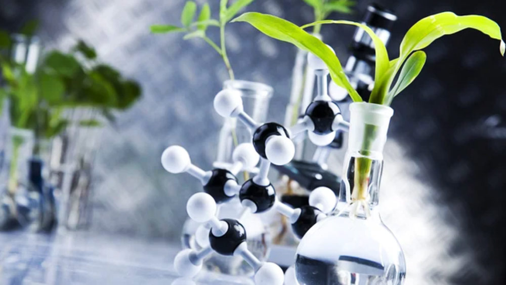 জানকীর এই ‘কীর্তিতে’ পরে ইতিহাসবিদ তথা তাঁর দুরসম্পর্কের ভাইঝি বিনীতা দামোদরণ একটি নিবন্ধ লিখেছিলেন। শিরোনাম ছিল— ‘জেন্ডার, রেস অ্যান্ড সায়েন্স ইন টোয়েন্টিয়েথ সেঞ্চুরি ইন ইন্ডিয়া’। বস্তুত, যে সালে জানকী স্নাতক হওয়ার সিদ্ধান্ত নিয়েছিলেন, সে সময় এ দেশে তো বটেই, বিদেশেও নারীশিক্ষার হার ছিল বেশ কম।