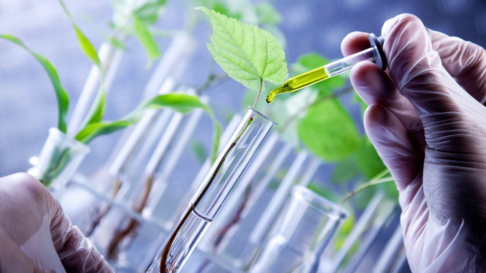 মিশিগান বিশ্ববিদ্যালয়ে পড়াশোনার সময় প্লান্ট সাইটোলজিতে মন বসিয়েছিলেন জানকী। এই বিদ্যায় গাছপালার জেনেটিক গঠন এবং জিনগত ধাঁচ বা বিন্যাস নিয়ে আলোকপাত করা হয়। আমেরিকার বিশ্ববিদ্যালয়ের ওই শিক্ষা কাজে এসেছিল জানকীর।