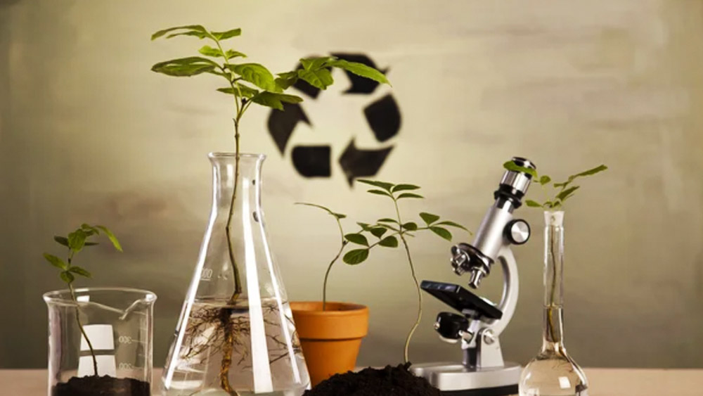 বিভিন্ন প্রজাতির গাছগাছালির মধ্যে নিষেক করিয়ে নতুন হাইব্রিড প্রজাতি তৈরি করেছিলেন জানকী। ১৯২৫ সালে স্নাতকোত্তর ডিগ্রি লাভ করেন তিনি। ’৩১-এ ডক্টরেট হন। বস্তুত, তিনিই প্রথম ভারতীয় মহিলা যিনি উদ্ভিদবিজ্ঞানে পিএইচডি করেন।