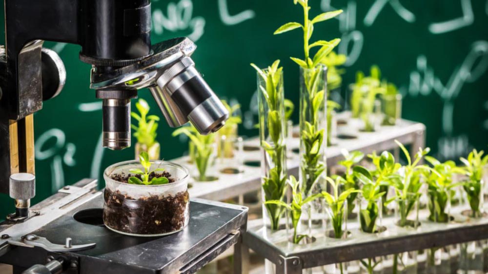 লখনউতে সেন্ট্রাল বোটানিক্যাল ল্যাবরেটরির সুপারভাইজার পদে জানকীকে নিয়োগ করেছিলেন নেহরু। বোটানিক্যাল সার্ভে অব ইন্ডিয়া (বিএসআই)-র পুনর্গঠনে জানকীর ভূমিকা ছিল অগ্রগণ্য। দেশীয় গাছগাছালি সংগ্রহ করা এবং তা নিয়ে সমীক্ষার জন্য ১৮৯০ সালে গঠিত হয়েছিল বিএসআই।