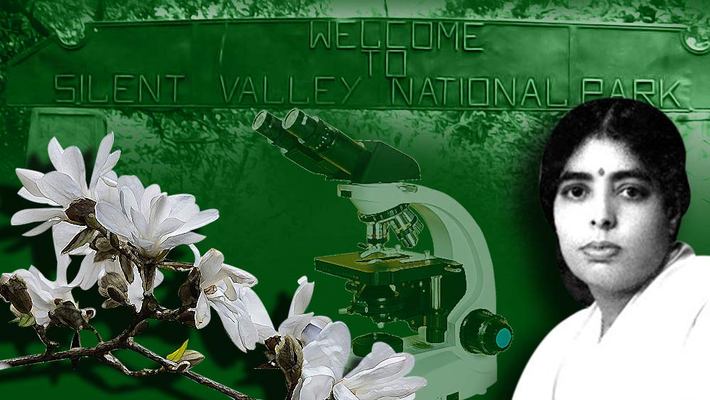 সাইলেন্ট ভ্যালি প্রকল্পের বিরুদ্ধে জানকীদের আন্দোলন অন্য মাত্রা পেয়েছিল। সত্তরের দশকে কেরল তথা ভারতে পরিবেশরক্ষায় অন্যতম গুরুত্বপূর্ণ আন্দোলনে পরিণত হয়েছিল তা। সফল হয়েছিলেন জানকীরা। ক্রমাগত স্থানীয়দের বিক্ষোভের মুখে পড়ে ১৯৮৪ সালের ১৫ নভেম্বর সে প্রকল্প বাতিল বলে ঘোষণা করতে বাধ্য হয়েছিল কেরল সরকার। তবে তা দেখে যেতে পারেননি জানকী। প্রকল্প বাতিল ঘোষণা করার ন’মাস আগে ৮৭ বছর বয়সে প্রয়াত হন তিনি।