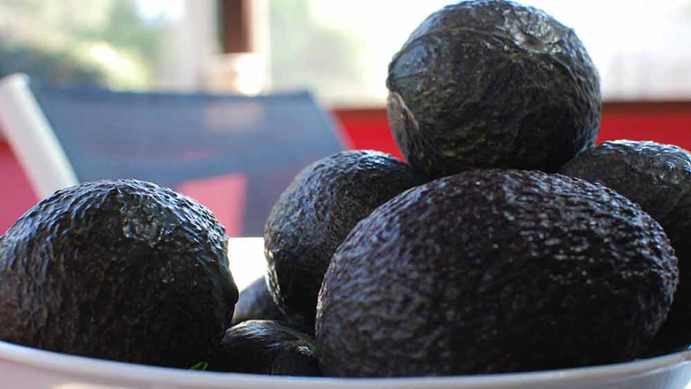 ঠিক একই পদ্ধতিতে অ্যাভোকাডো দেখিয়ে এবং ব্যাঙ্ক উড়িয়ে দেওয়ার হুমকি দিয়ে ওই ব্যাঙ্ক লুট করেন ওই ব্যক্তি। যাওয়ার সময় লুট করে নিয়ে যান প্রায় তিন লক্ষ টাকা।