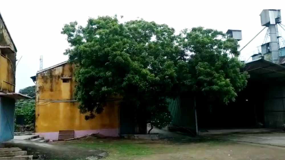 প্রসঙ্গত, শুক্রবার সকালে মোট ৪৫ বিঘা জমির উপর তৈরি ভোলে  ব্যোম চালকলে ঢোকে সিবিআইয়ের একটি দল। সূত্রের খবর, গত দু’মাস ধরে এই চালকলটি বন্ধ। তা সত্ত্বেও সিবিআই আধিকারিকেরা ঢোকার সময় এই চালকলের ভিতরে ছিলেন অনেক কর্মী। বিকেল সাড়ে ৪টে নাগাদ তদন্তকারী দল ওই মিল থেকে বেরিয়ে যায়।।