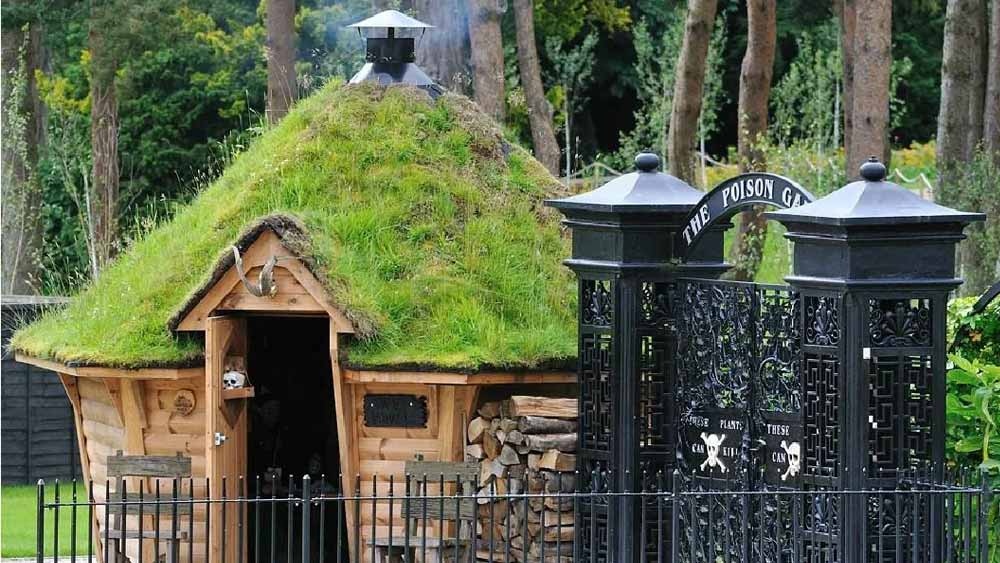 এই সতর্কবার্তা উপেক্ষা করে কেউ কালো দরজা পার করলেই শেষ। বাগানের সৌন্দর্যে মুগ্ধ হয়ে যখন মন ভরে ফুলের ঘ্রাণ নিতে যাবেন, তখনই সাক্ষাৎ মৃত্যু। গল্পের পাতায় নয়, বরং পৃথিবীর বুকেই রয়েছে এমন এক ‘বিষ বাগান’।