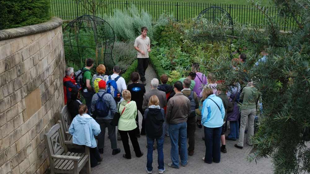 ইংল্যান্ডের নর্থাম্বারল্যান্ড এলাকায় অ্যালনউইক গার্ডেনের কিছু অংশ জুড়ে তৈরি করা হয়েছে ‘পয়জন গার্ডেন’। সকলেই এই বাগানের ভিতরে যেতে পারে কিন্তু তার জন্য রয়েছে বিশেষ নিয়ম।